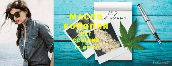 индика Наволоки