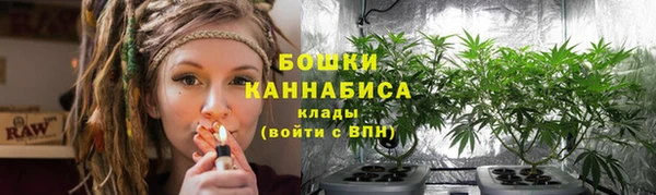 ГАЛЛЮЦИНОГЕННЫЕ ГРИБЫ Абдулино