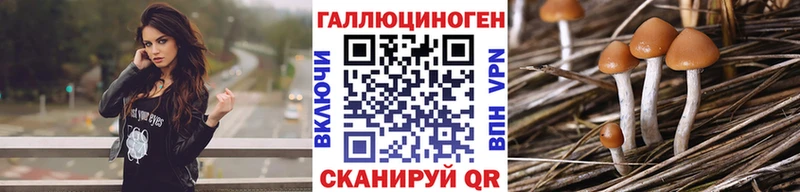 Псилоцибиновые грибы Psilocybe  MEGA ссылка  Тюкалинск 